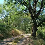Charmante Maison Familiale A Realmont-tarn * Réalmont