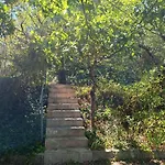 Charmante Maison Familiale A Realmont-tarn *
