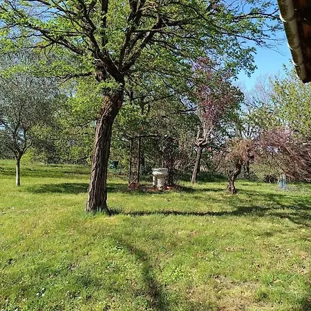 Hébergement de vacances Charmante Maison Familiale à Réalmont-tarn
