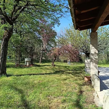 Charmante Maison Familiale à Réalmont-tarn Hébergement de vacances Réalmont