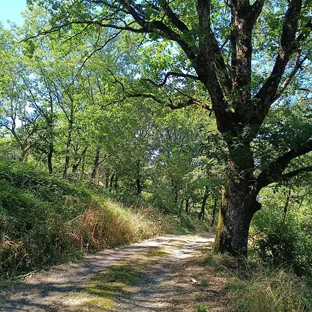 Charmante Maison Familiale A Realmont-tarn * Réalmont