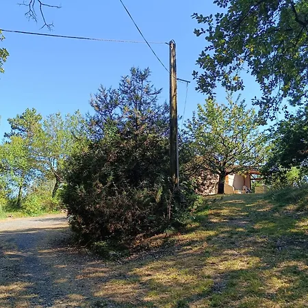 Charmante Maison Familiale à Réalmont-tarn Hébergement de vacances Réalmont