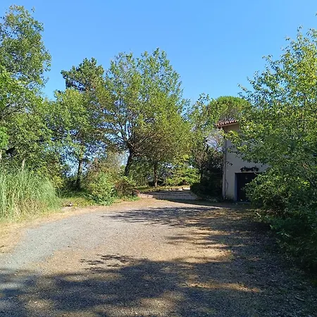 Charmante Maison Familiale à Réalmont-tarn Hébergement de vacances Réalmont