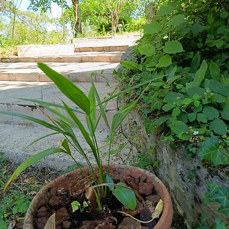 Hébergement de vacances Charmante Maison Familiale à Réalmont-tarn *