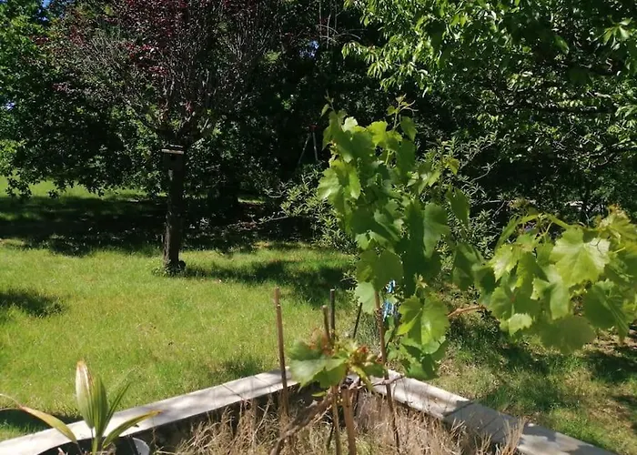 Charmante Maison Familiale A Realmont-tarn Réalmont