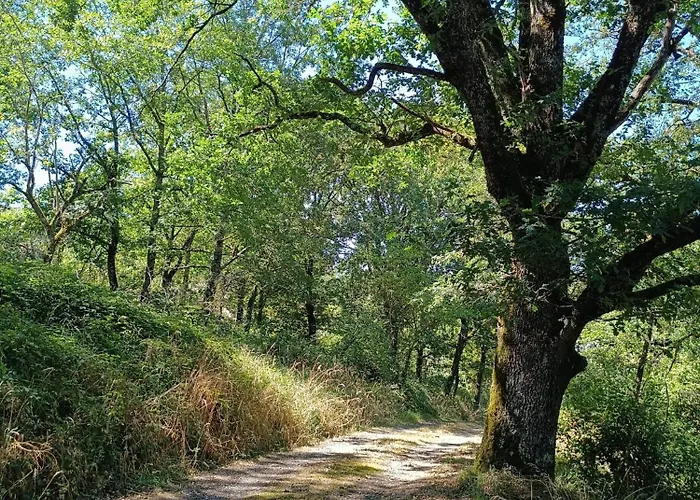 Charmante Maison Familiale A Realmont-tarn * Réalmont