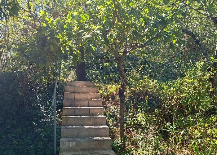 Charmante Maison Familiale A Realmont-tarn *