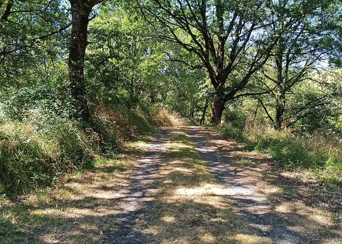 Charmante Maison Familiale A Realmont-tarn Nyaraló *
